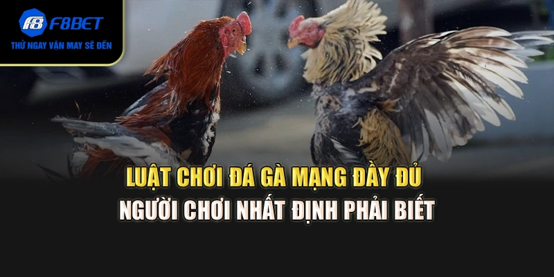 Luật chơi đá gà mạng đầy đủ người chơi nhất định phải biết